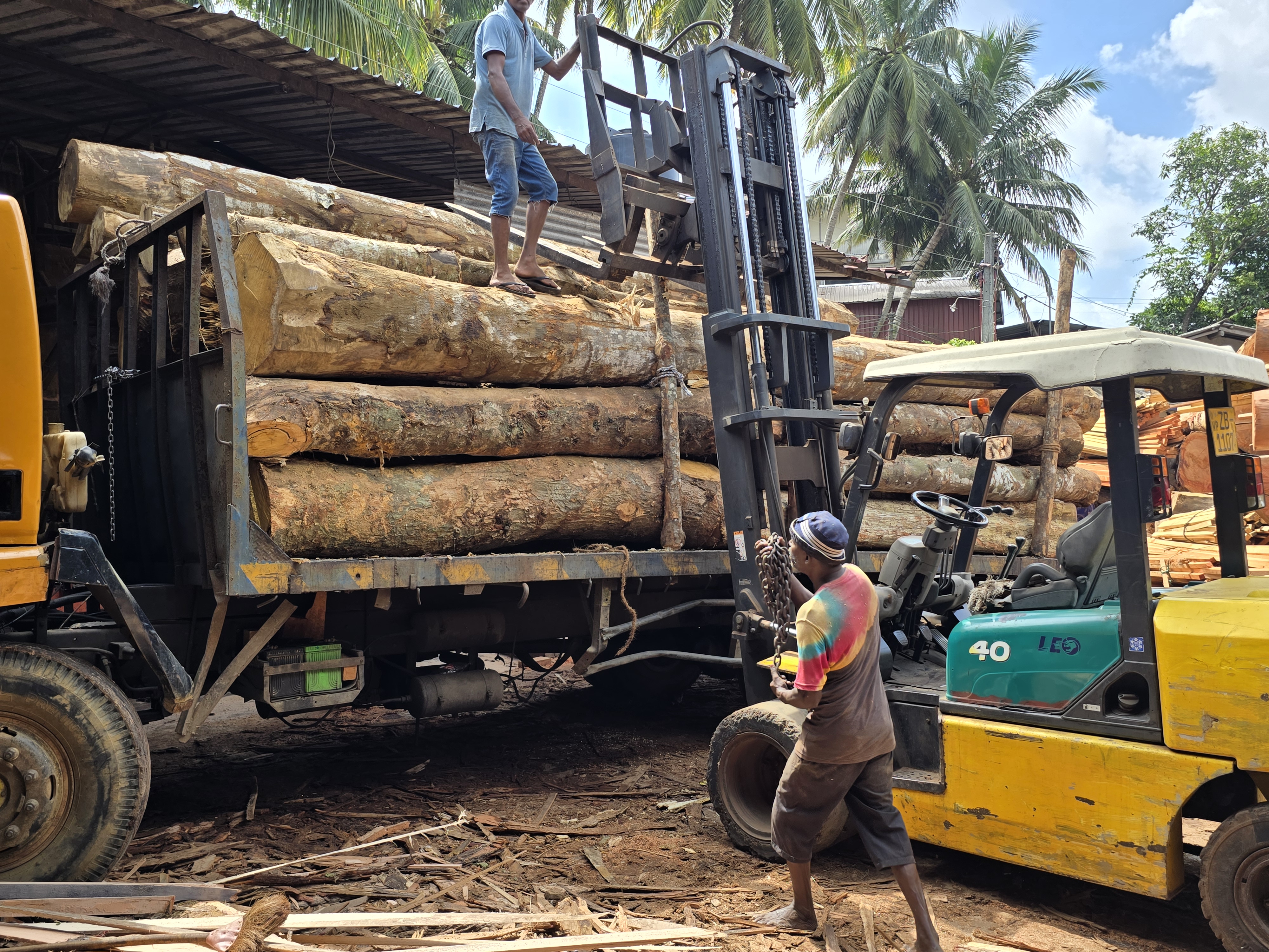 Teak Wood